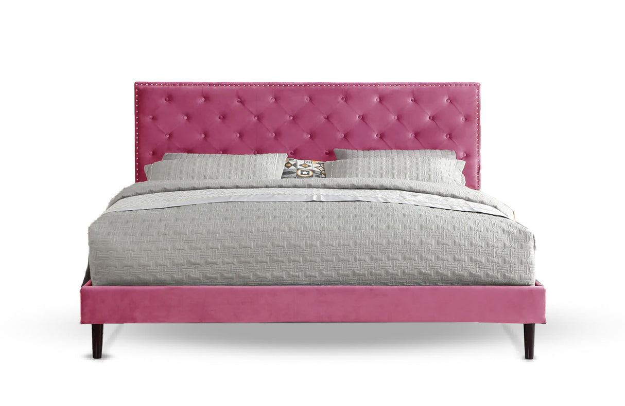 #Color_Pink