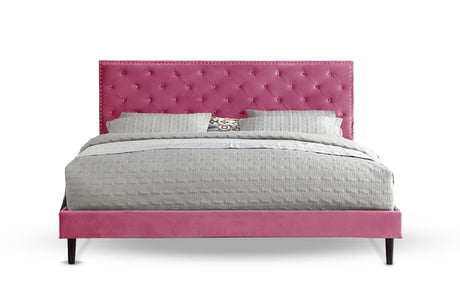 #Color_Pink