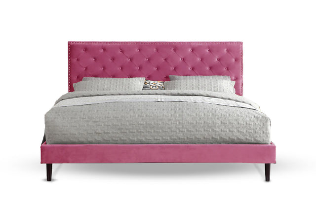 #Color_Pink