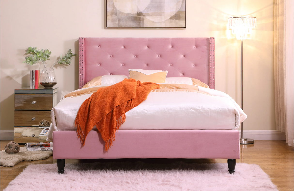 #Color_Pink