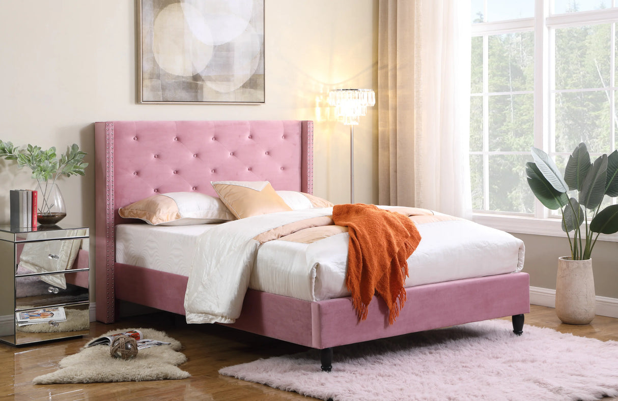 #Color_Pink