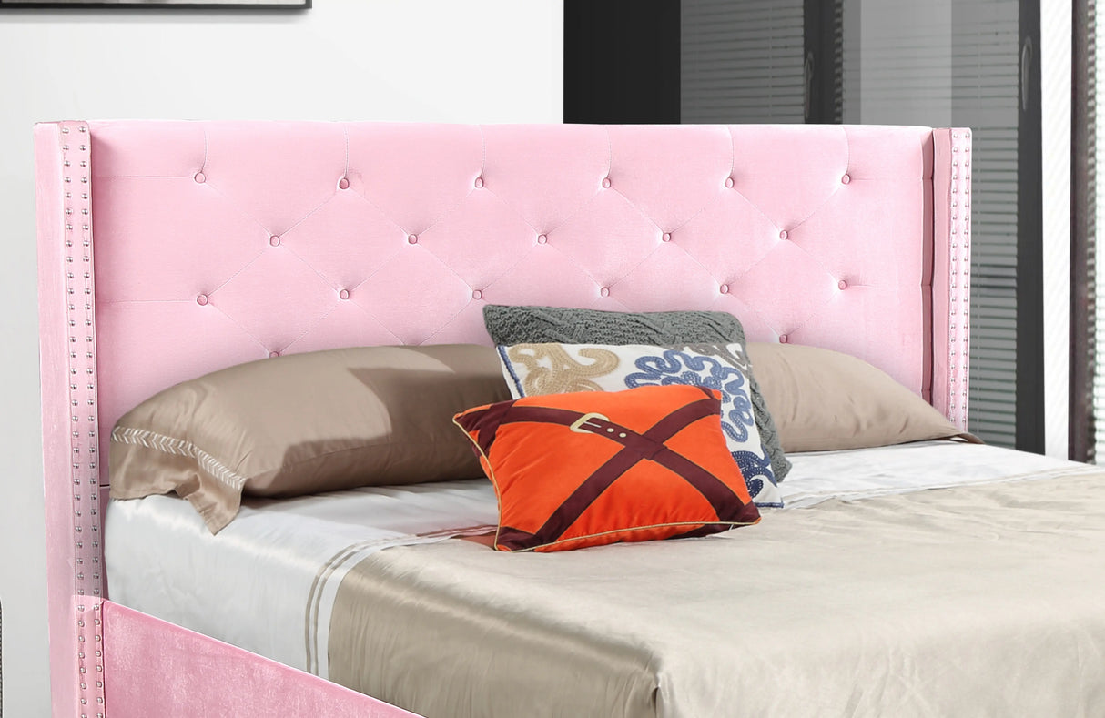 #Color_Pink