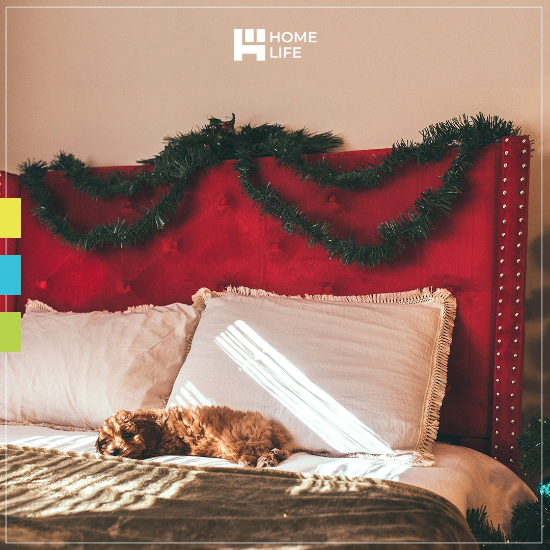 5 best Mattresses in 2021 HomeLife Company